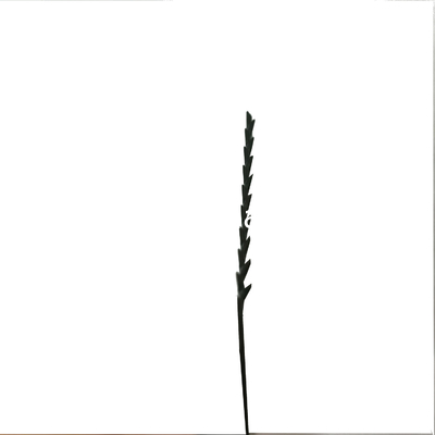 Lame de scie oscillante, accessoires multi-outils fournisseur
