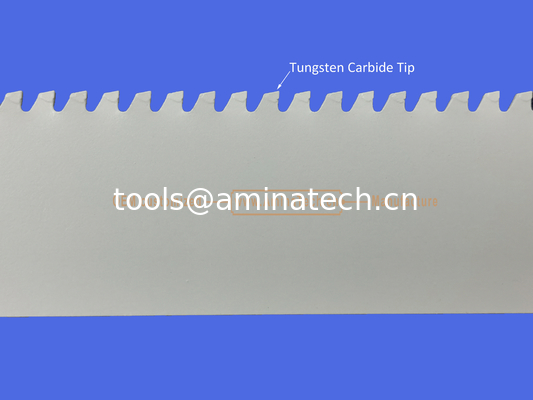 Lame de scie alternative à pointe carbure de tungstène 6"-6T 150mm, alternative, outils électriques fournisseur
